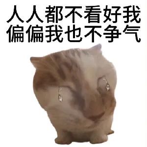 Everything透视版-AnyTXT基于内容的强大搜索软件